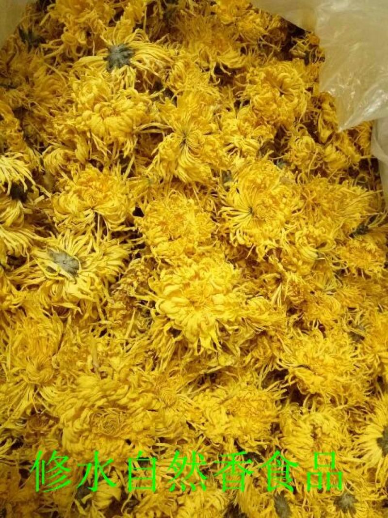菊花茶