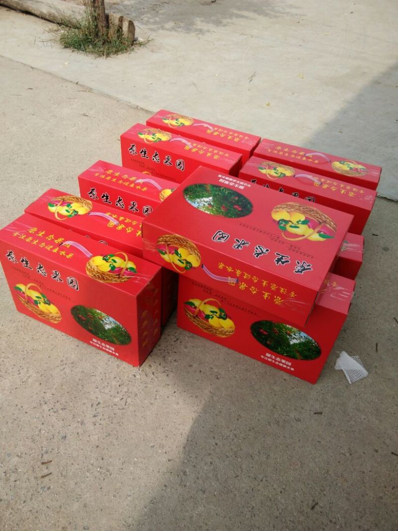 酥梨250~300g光果