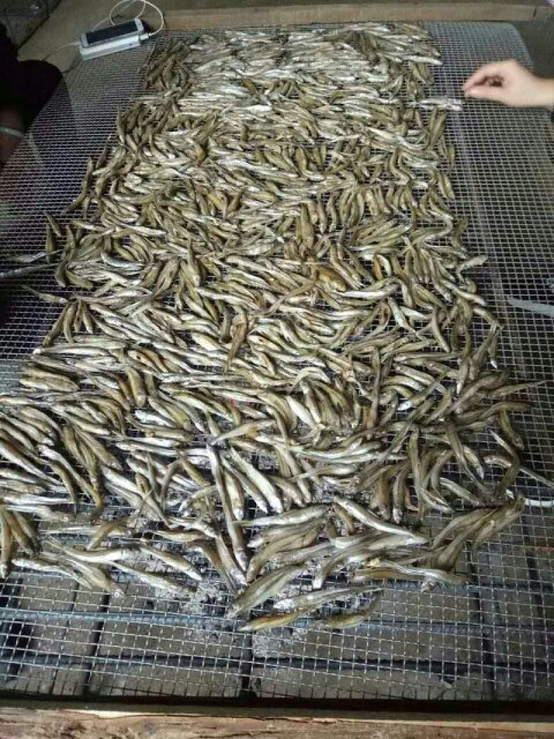 鲤鱼干