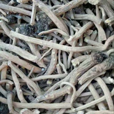 板蓝根统个