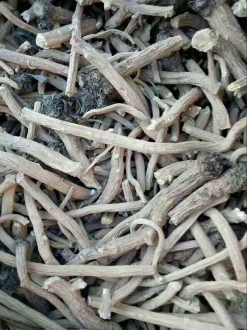板蓝根统个