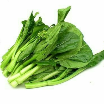 白菜苔15~20厘米
