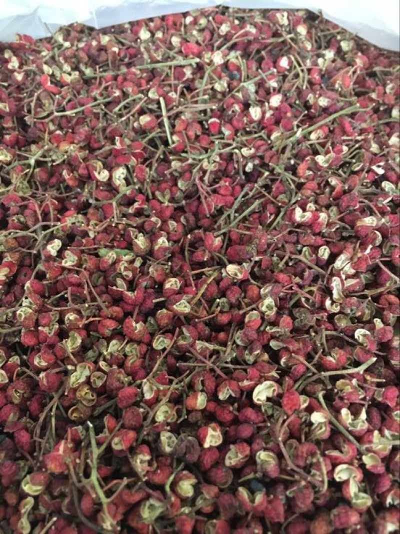 麻椒特级干
