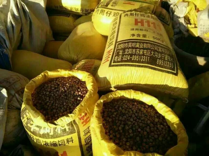 圆形榛子特级