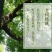 山核桃去皮