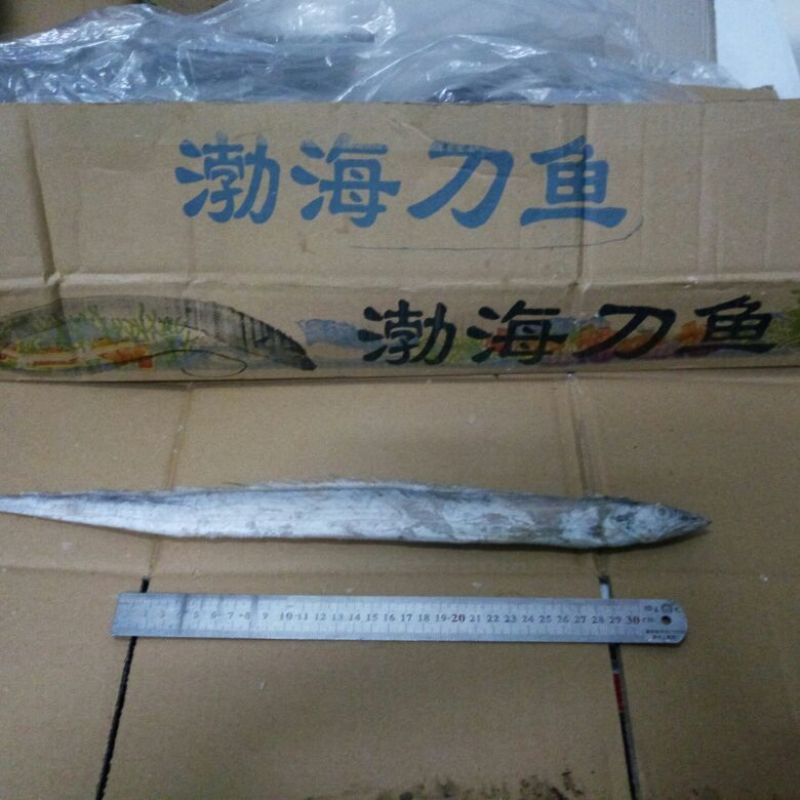 带鱼