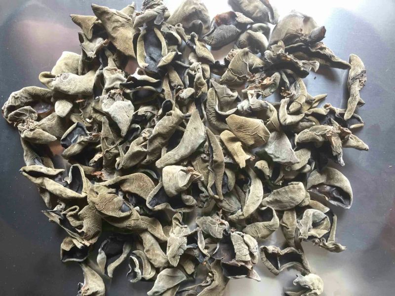 木耳二级