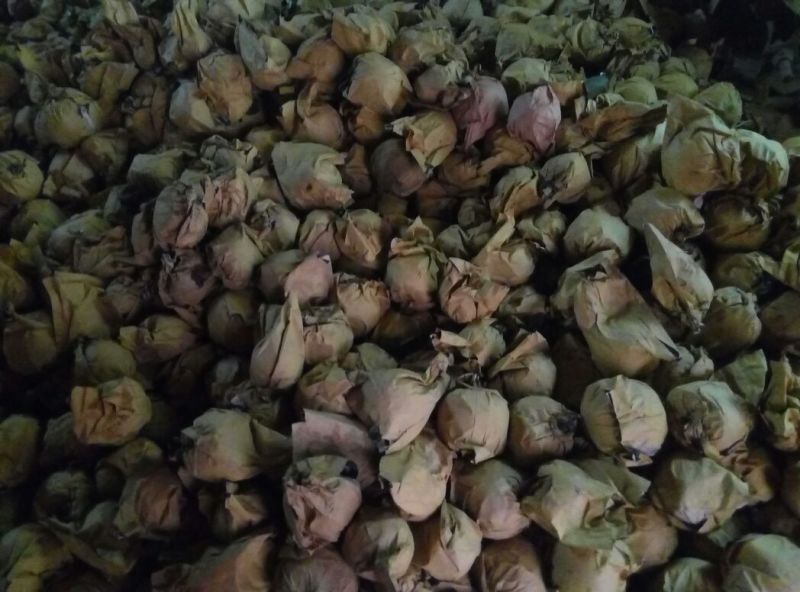 黄梨350~400g纸袋