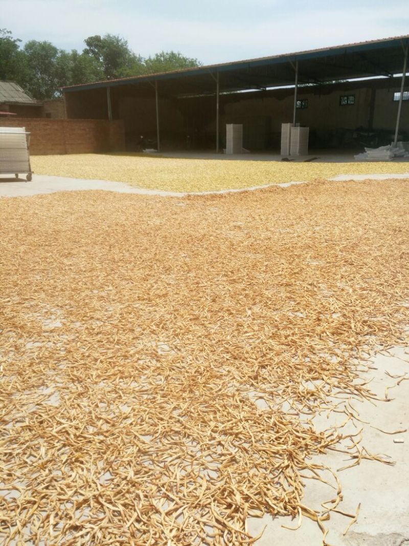 干黄花菜散装一级