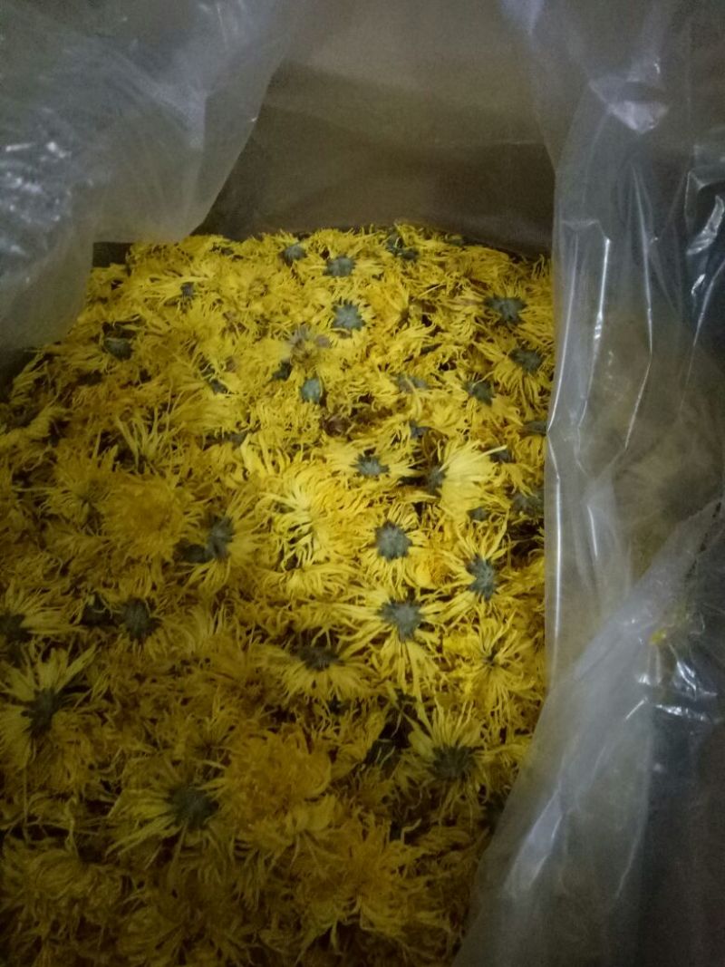 菊花茶