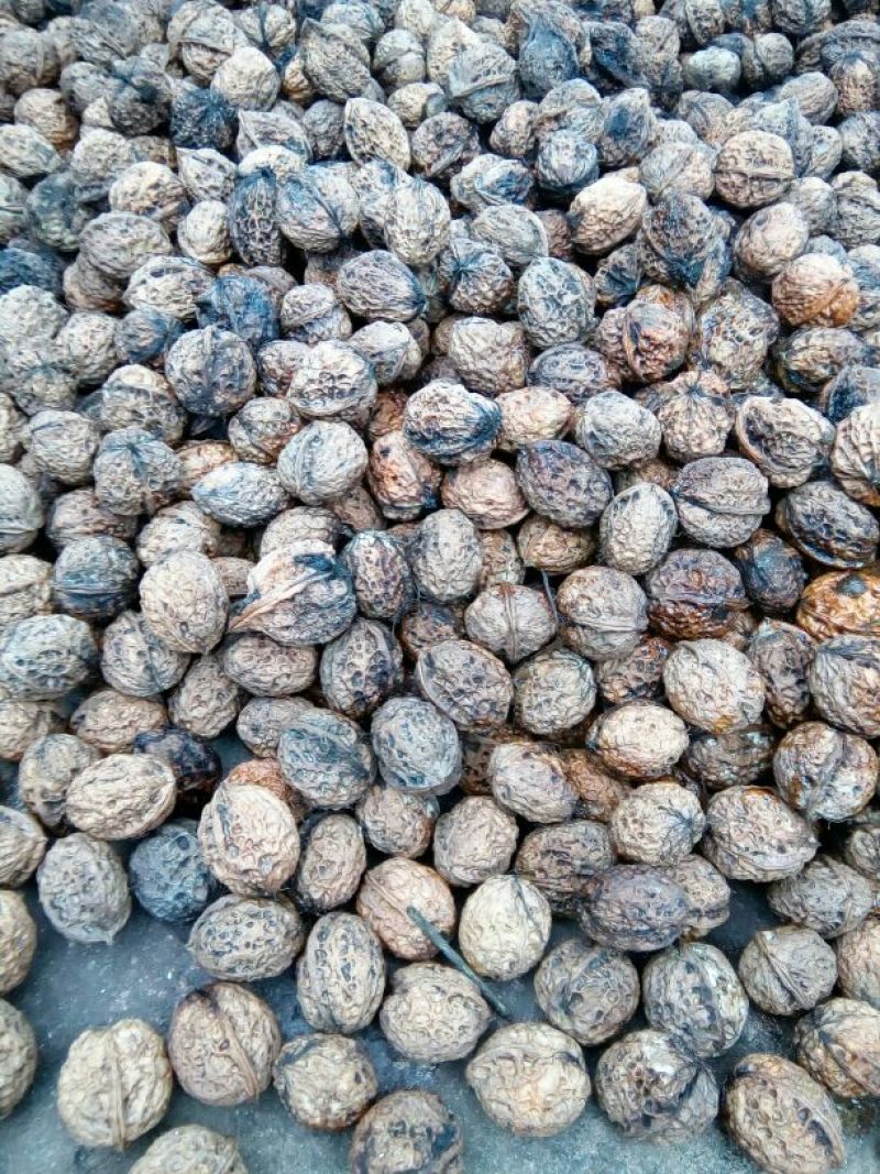 铁核桃去皮