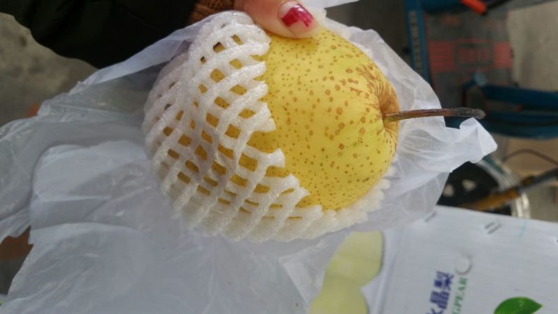 雪花梨450~500g纸箱
