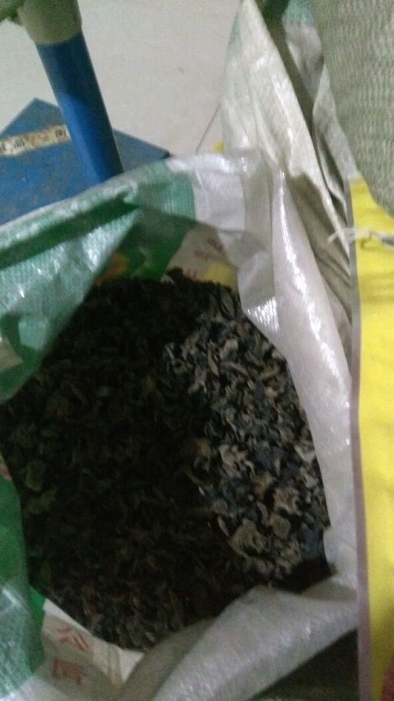 木耳一级