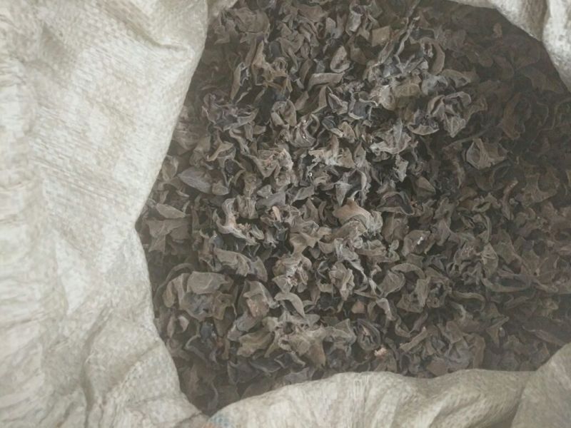 干木耳特级