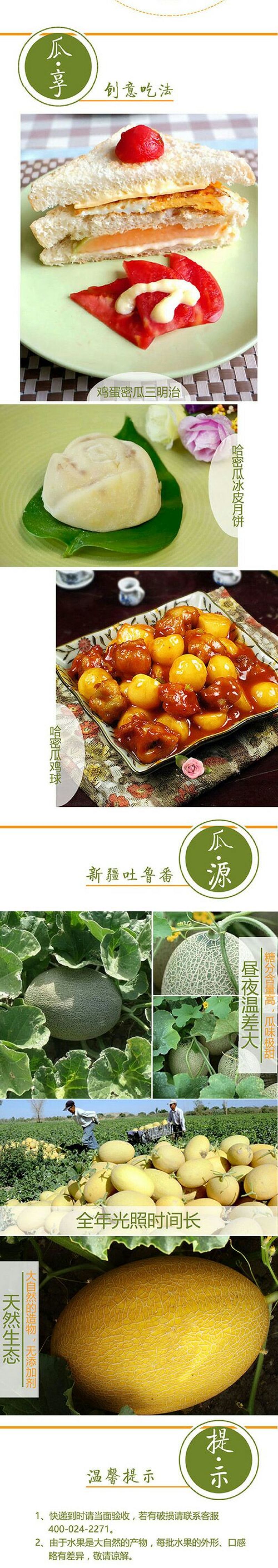 哈密瓜3斤以上椭圆形