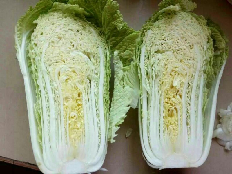 白萝卜1.5~2斤起
