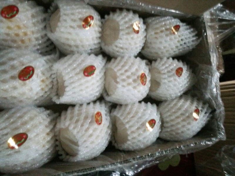 【优质】陕西蒲城酥梨，基地直发，纸袋150~200g