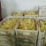 狮头鹅苗250g以下