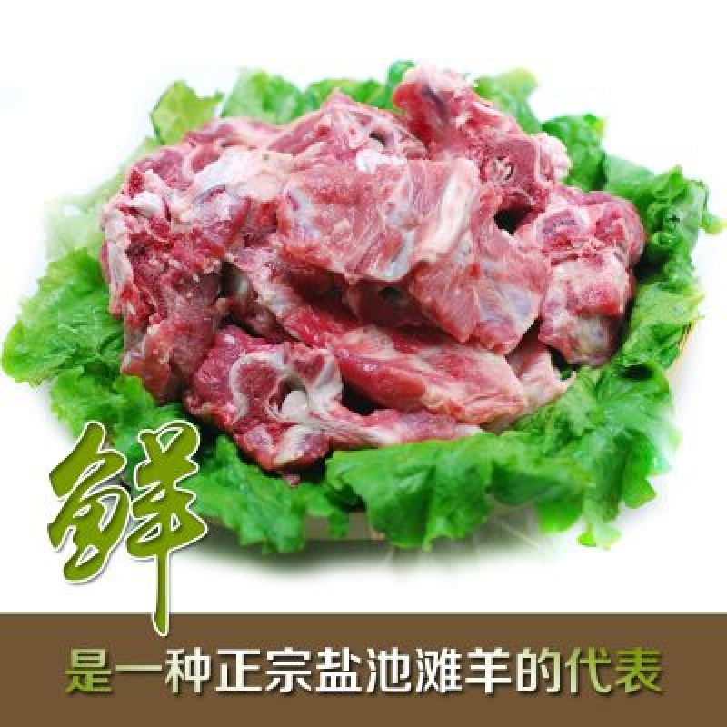 盐池滩羊羊排羊腿散养羊蝎子羊脖子盐池滩羊绵羊