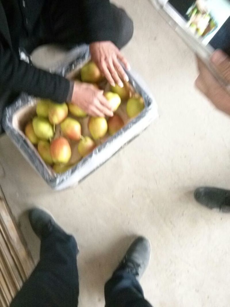 红香酥梨筐装