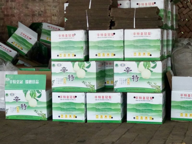 皇冠梨250~300g纸箱