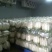白萝卜1.5~2斤起