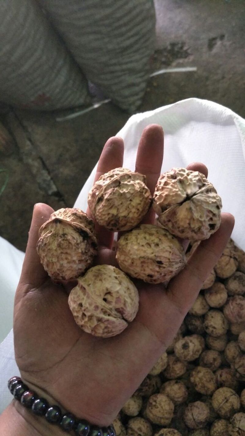 云南薄皮大泡核桃个大皮薄饱满香脆产地直销