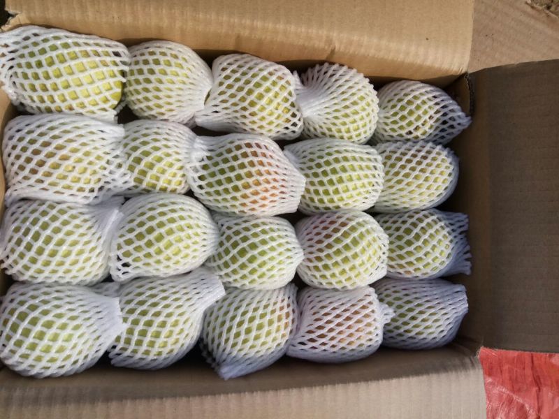 苹果梨200~250g纸箱