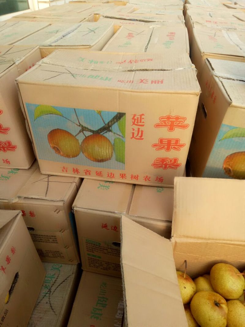 苹果梨150~200g纸箱