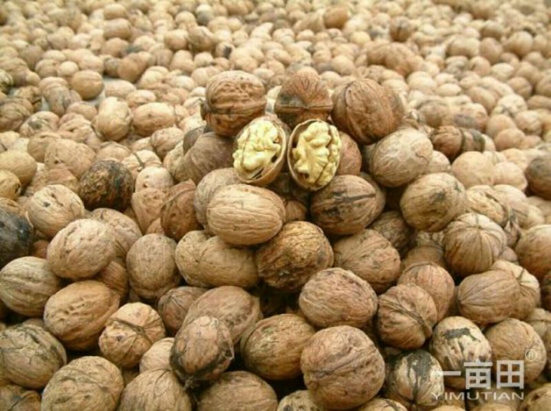 核桃30mm以上去皮干货甘肃庆阳