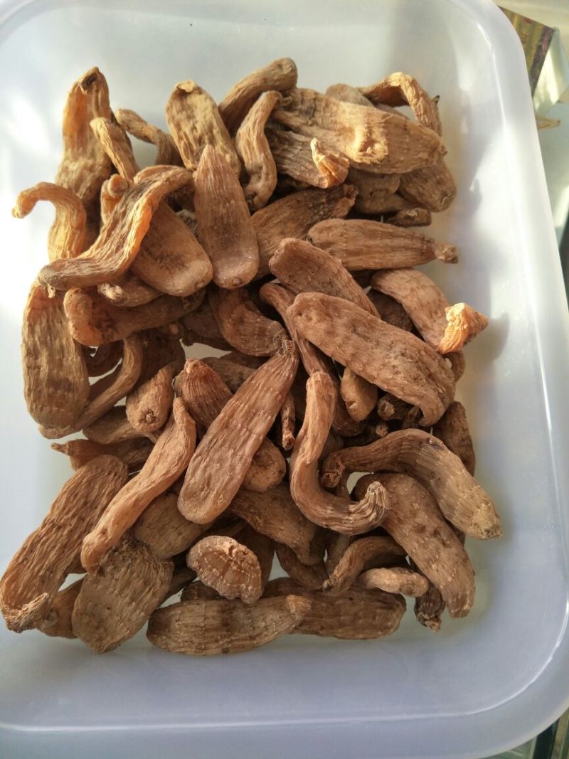 天麻一级