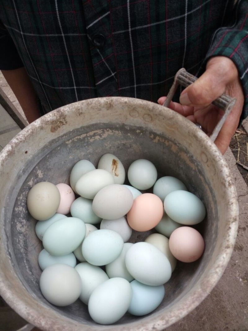 绿壳鸡蛋食用50g以下