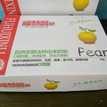 皇冠梨250~300g光果