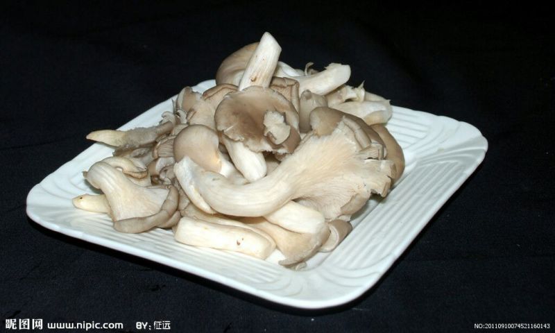 白平菇