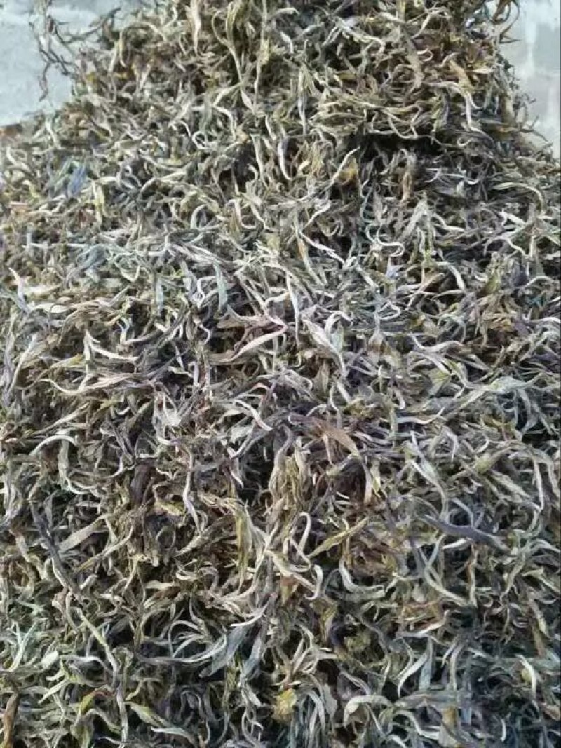 普洱绿茶