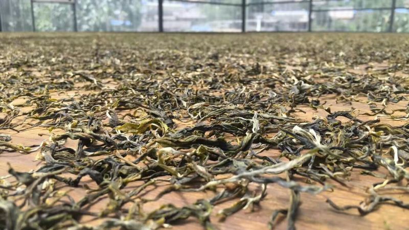 普洱茶