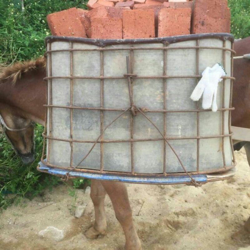 骡子300~400kg