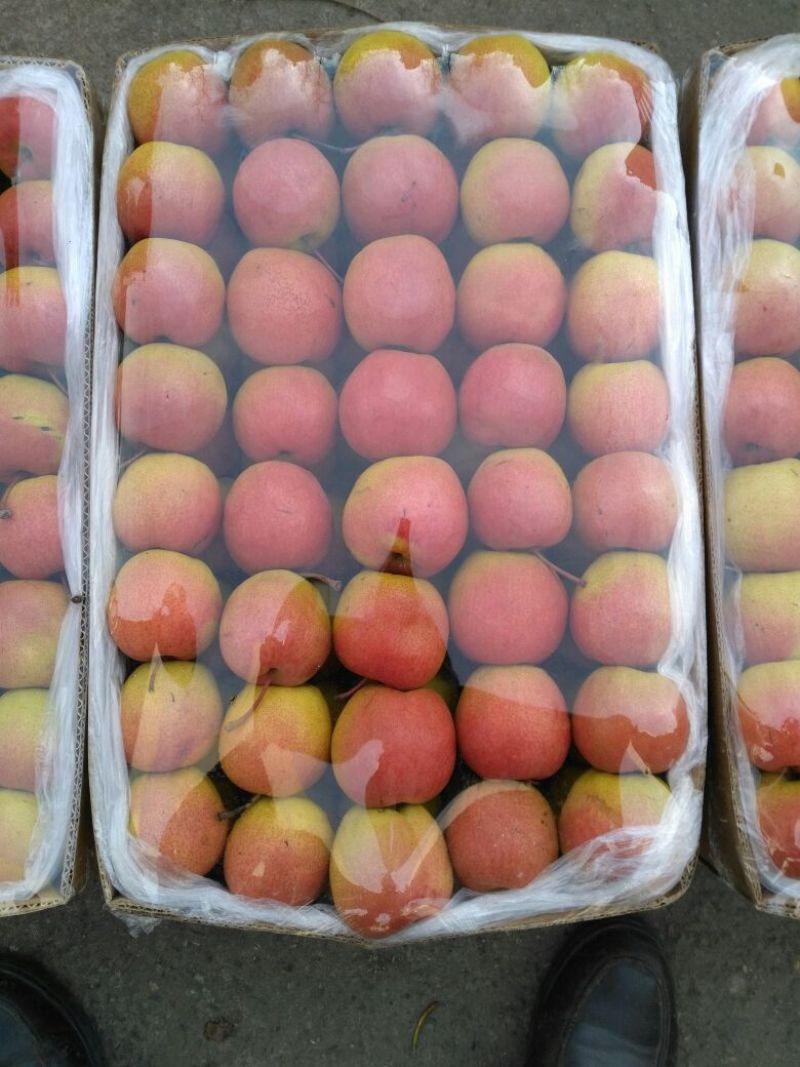 红硝梨150~200g纸箱