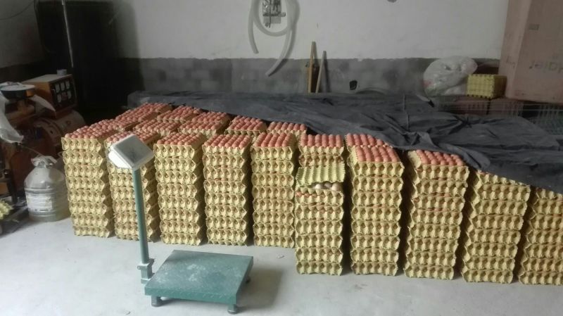 红蛋食用60~75g