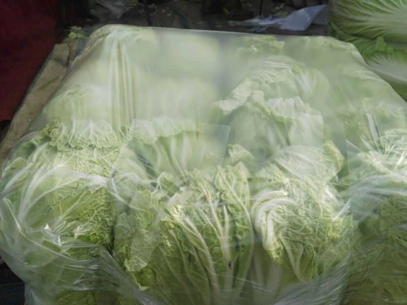 精品大白菜！！！！！！！！！！！！！！！！！