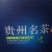 苦丁茶