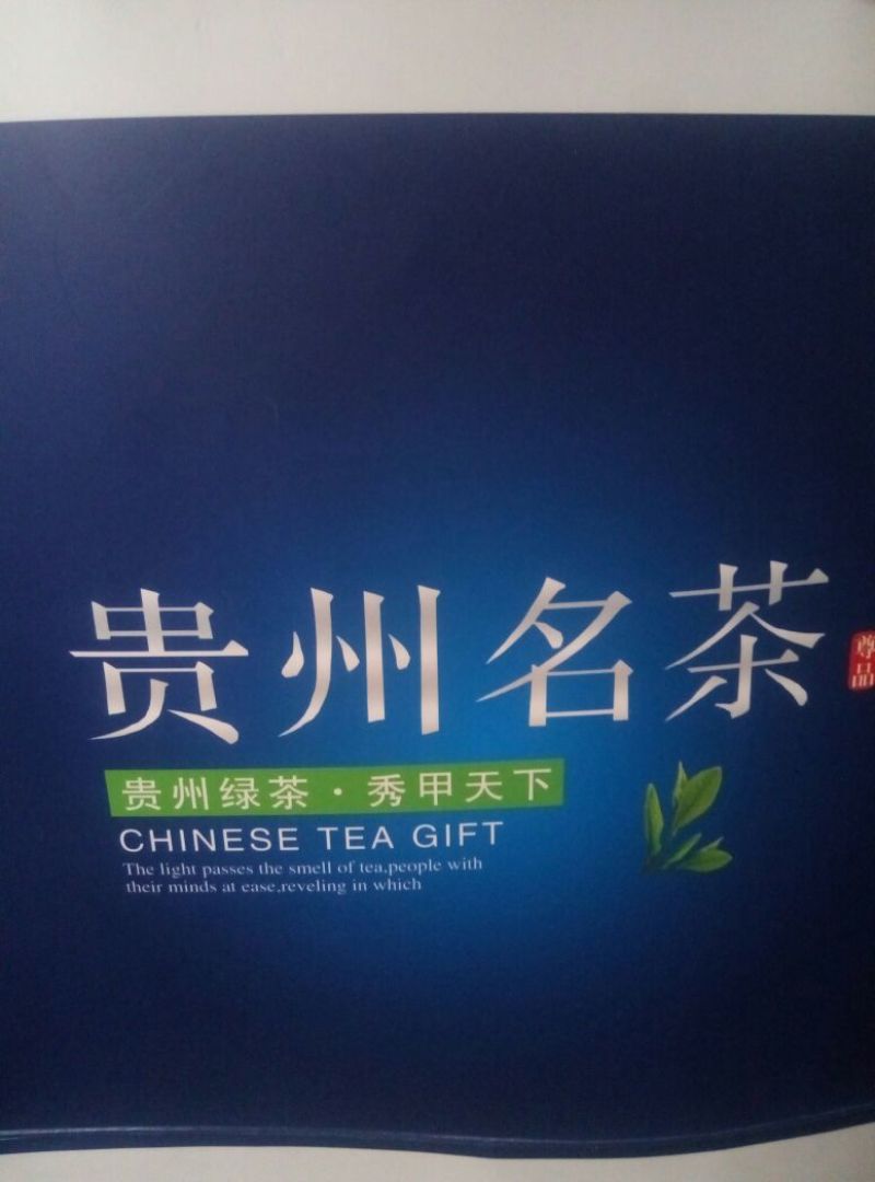 苦丁茶