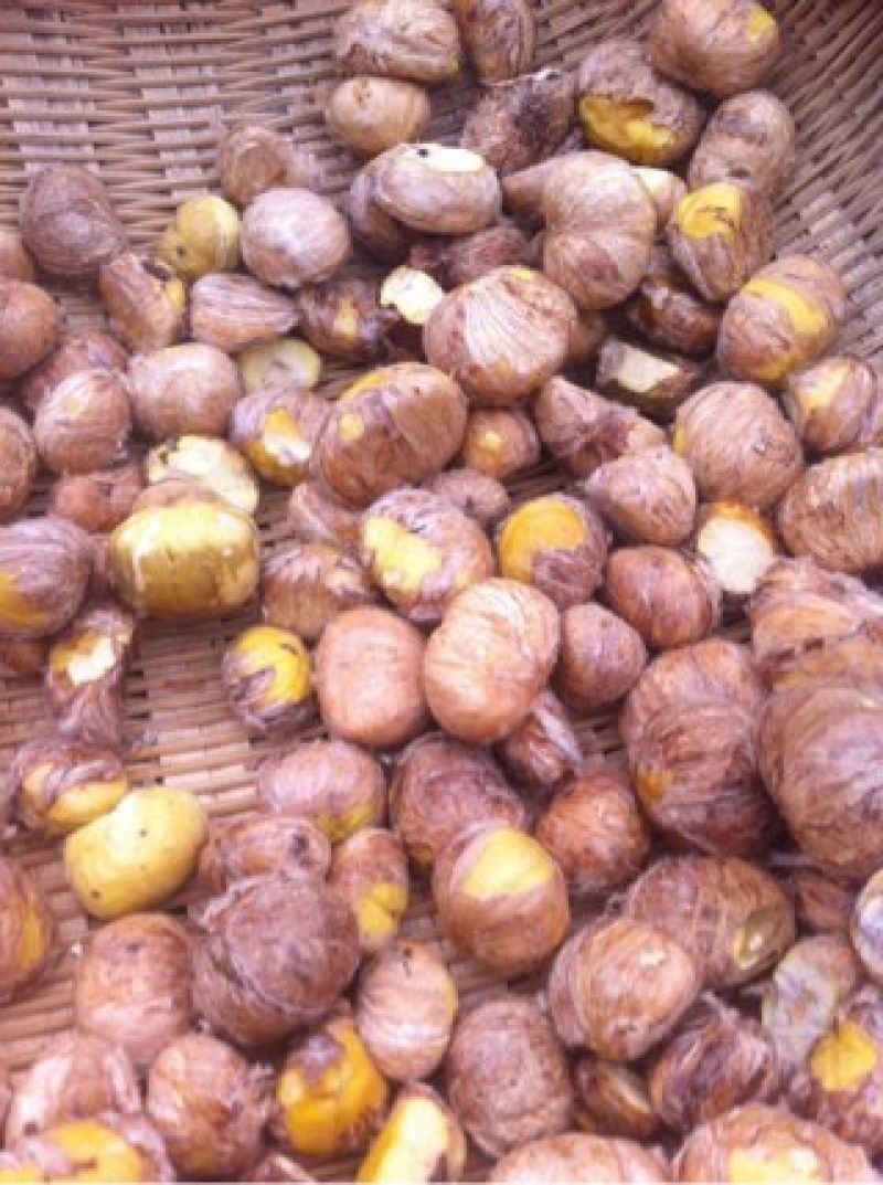 大别山板栗