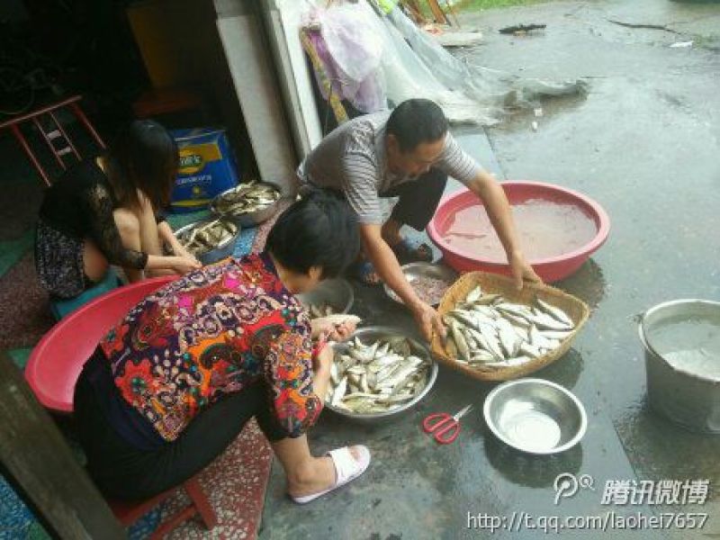 鱼干烤鱼干