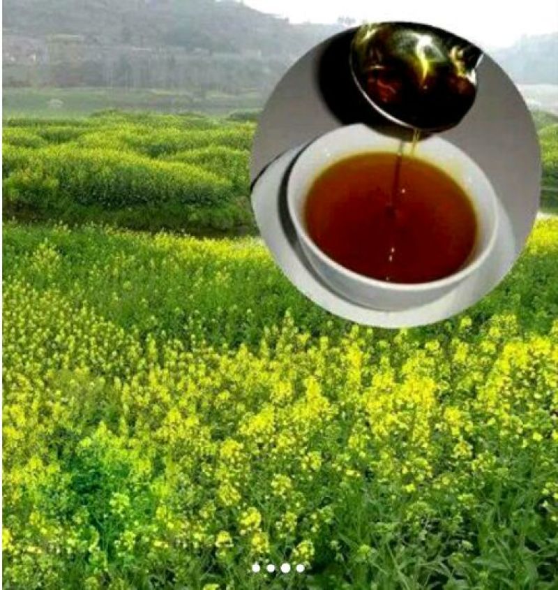 菜油
