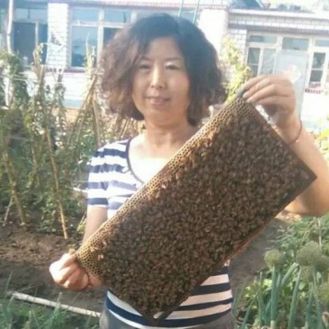 蜂蜜1斤