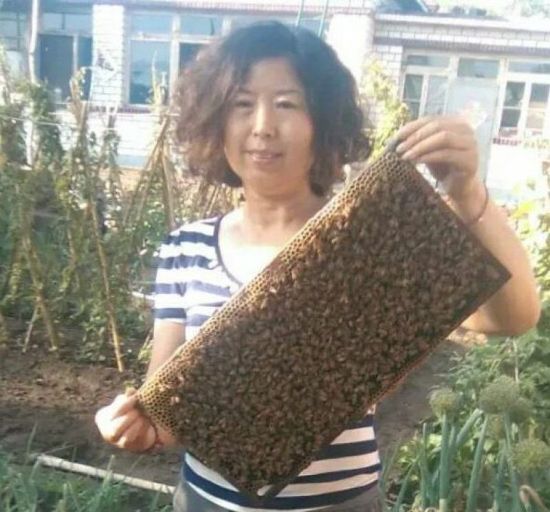 蜂蜜1斤