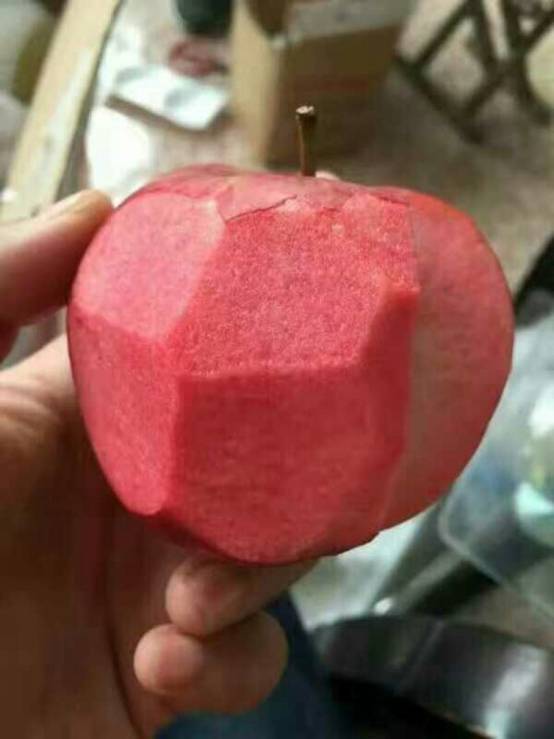 红肉苹果树苗80cm以上