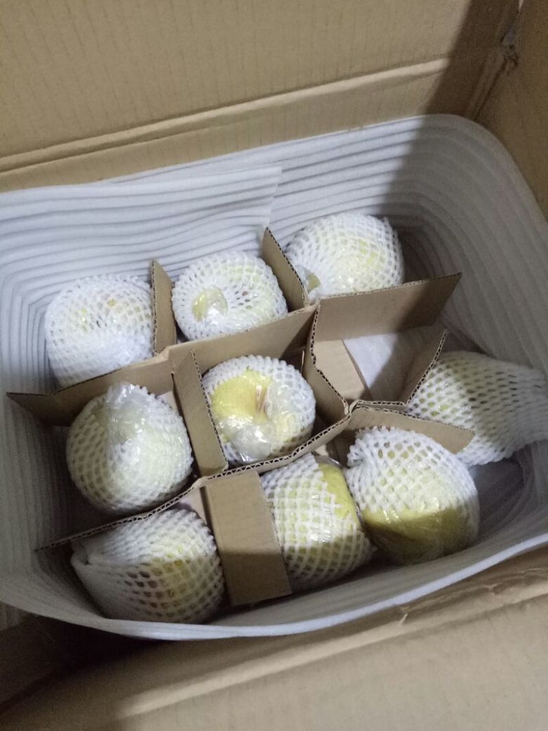 早酥梨450~500g纸加膜