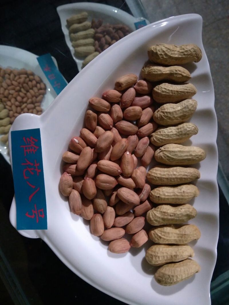 大良一号花生种子，全国空白地区招商